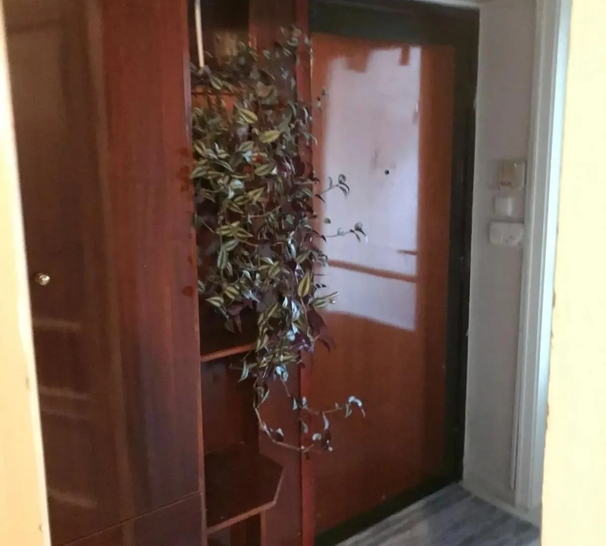Ferienwohnung Bosphorus View, Great Location And Cozy House! Istanbul 0*,